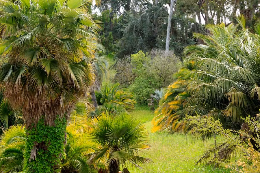 jardín en Cap de Antibes