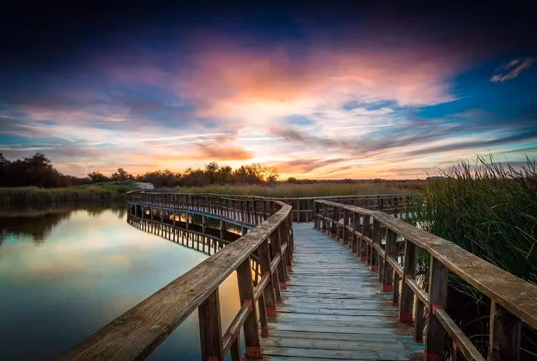 Pasarela en Las Tablas de Daimiel.