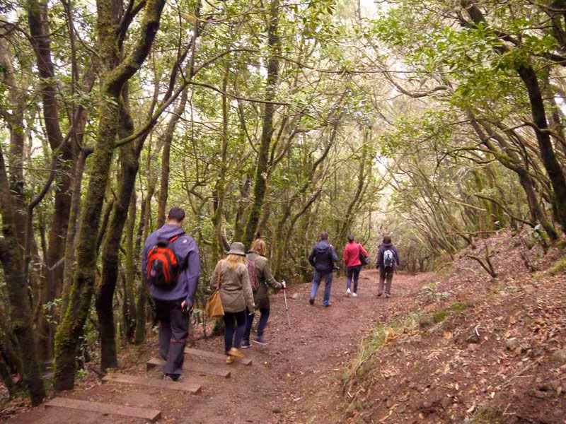 parque rural anaga tenerife