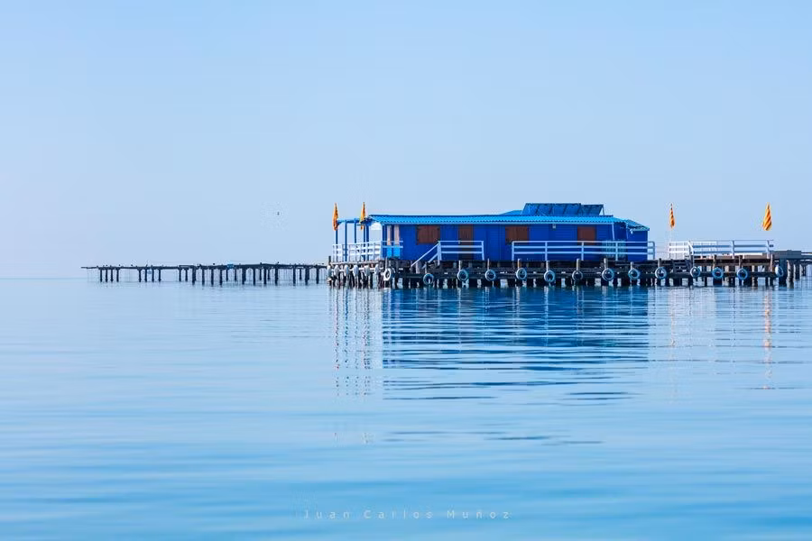 ostras y mejillones de l alvi agusti