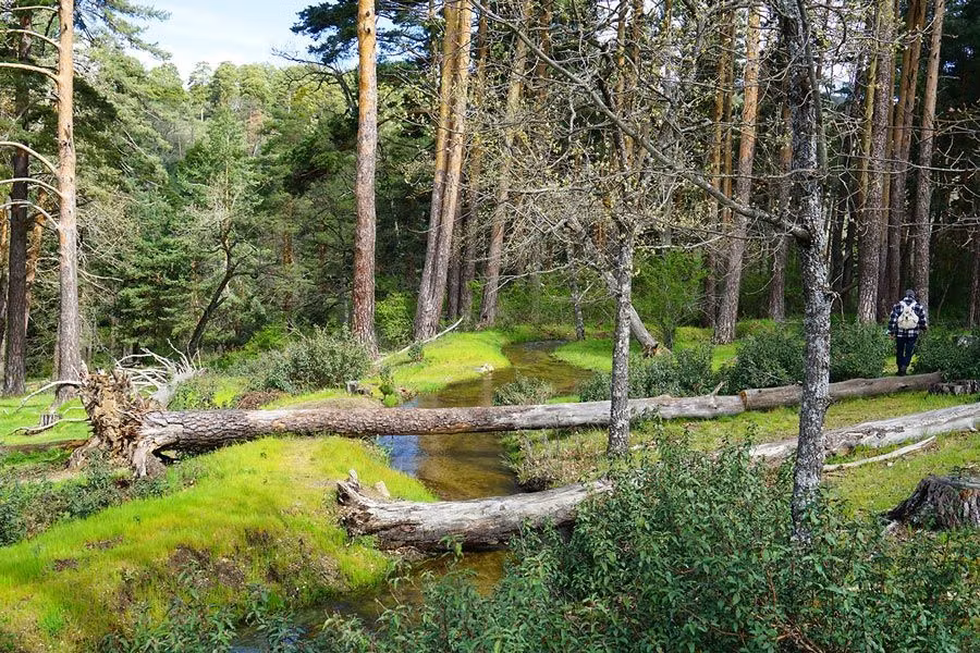 Puentes improvisados en nuestro camino hacia el azud del acueducto de Segovia.