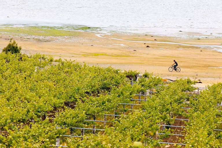 Parte de su territorio es costero. © RV Rías Baixas