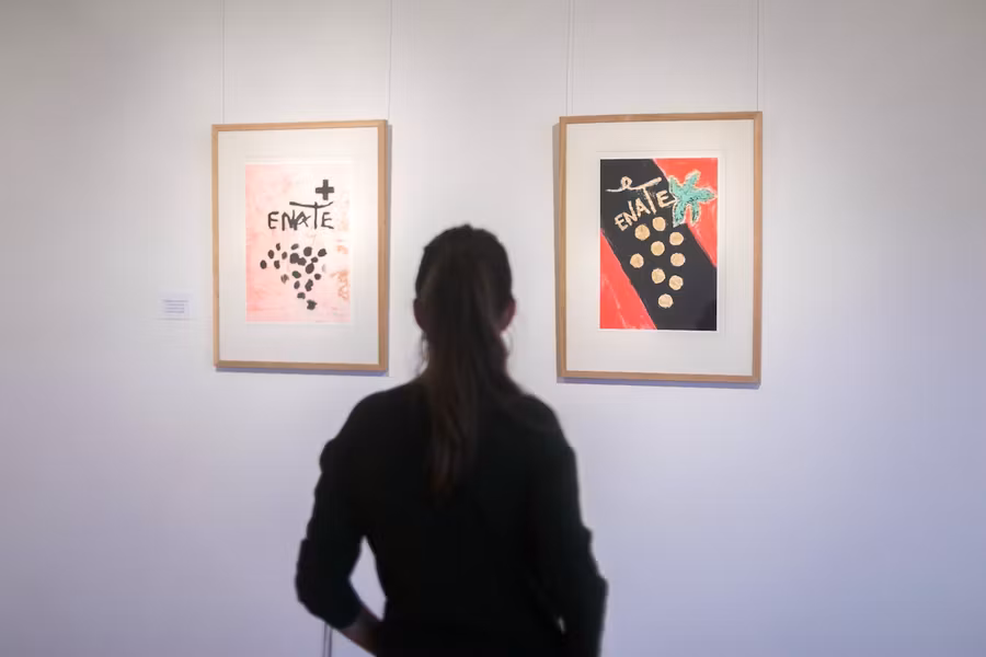 Sala de exposiciones de la Bodega Enate.