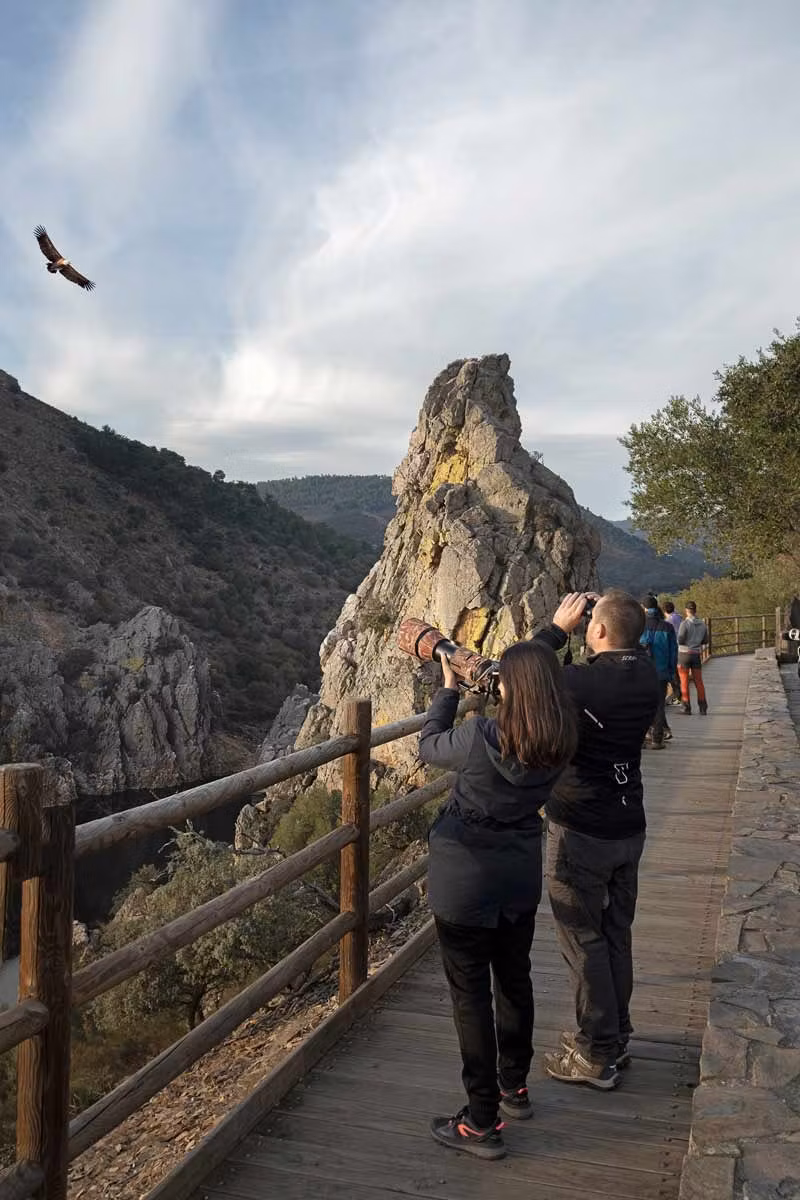 Avistamiento de aves en Monfragüe.