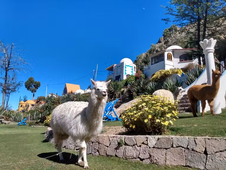 llamas cortacesped, la cupula copacabana