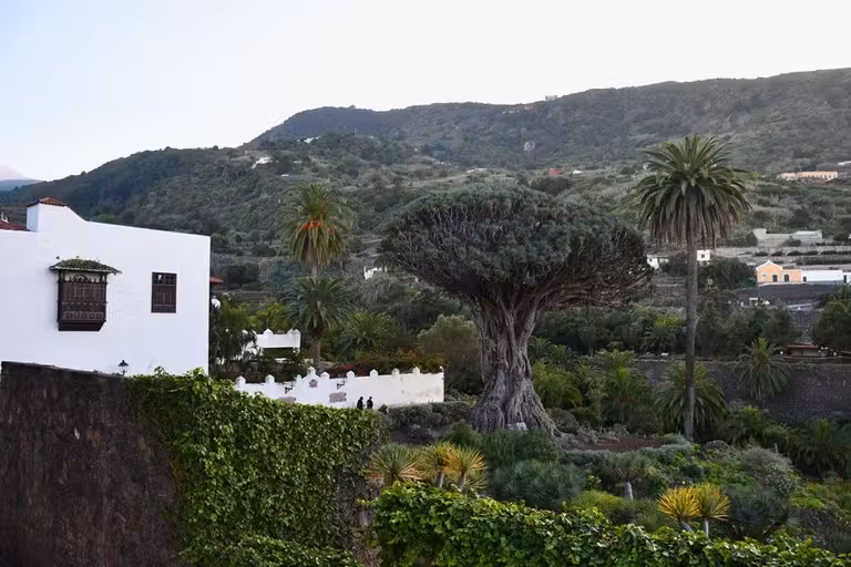 viajes a Canarias, viajes familiares a Tenerife, rutas desde el sur de Tenerife