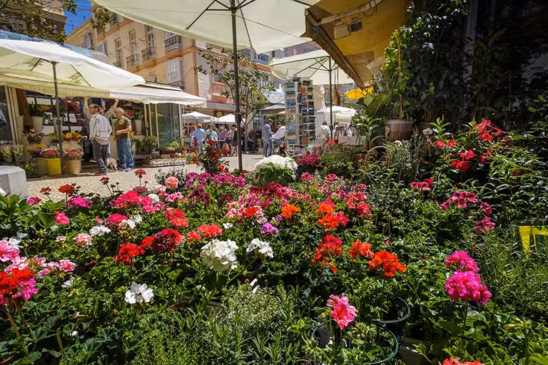 Plaza de las Flores de Cádiz capital.
