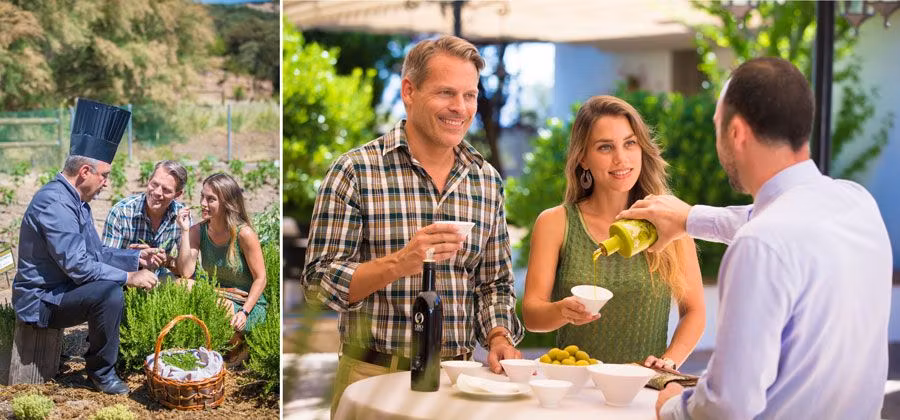 cata de aceites en La Bobadilla