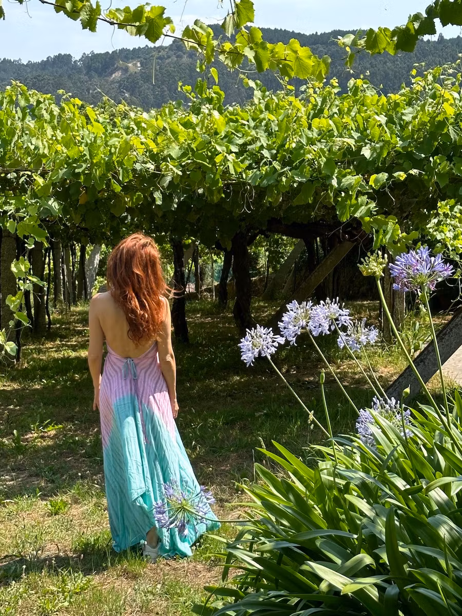 El emparrado de los viñedos es habitual en la Ruta del Vino Rías Baixas.