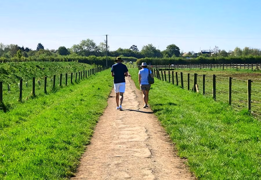 sendero en Cotswolds