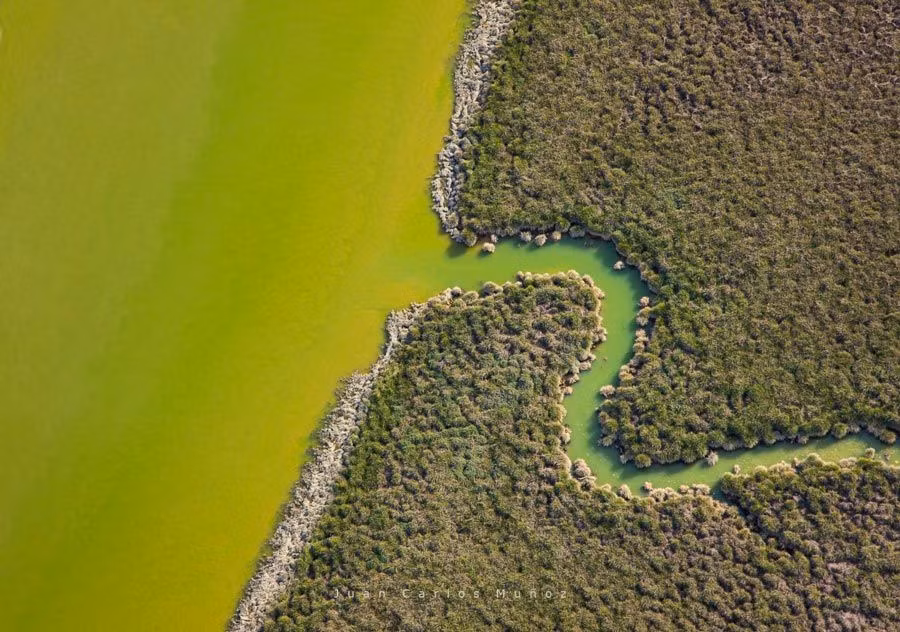 Desembocadura del río Tinto en las marismas del Odiel.