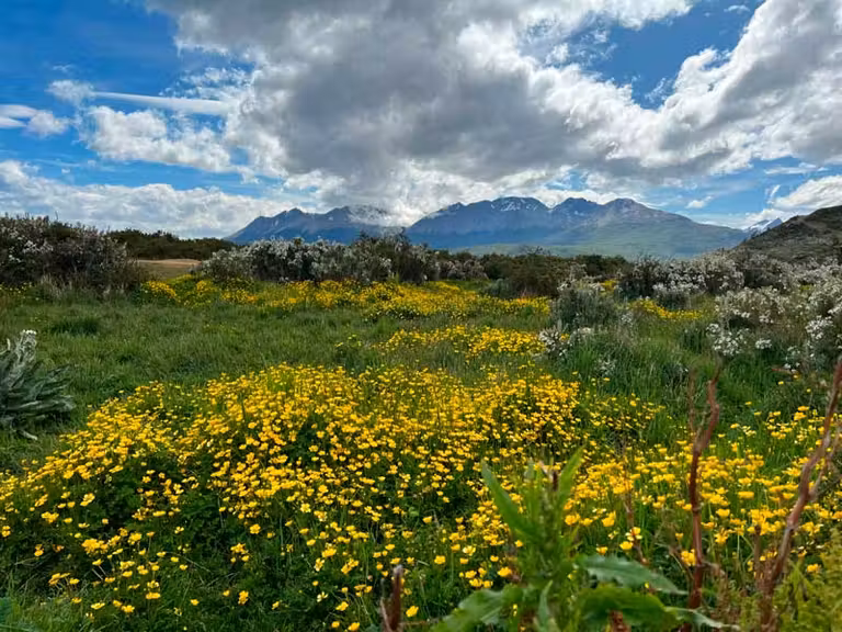 Parque Nacional de Tierra de Fuego.