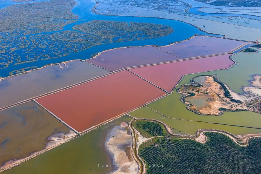 Explotación salinera en las marismas del Odiel.