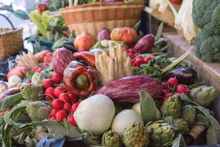 Tudela, viajes a Navarra, escapadas por España