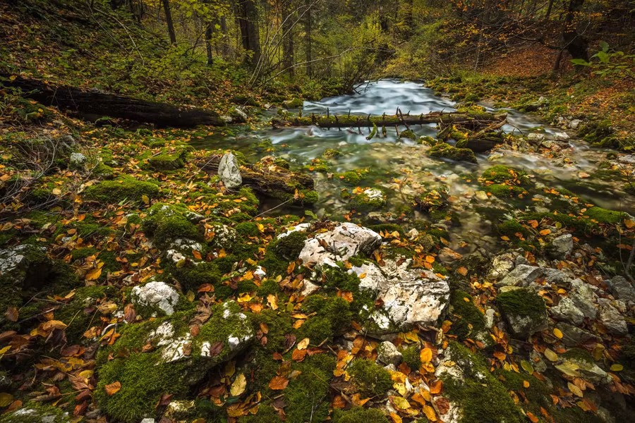 Otoño en los Lagos de Plitvice.