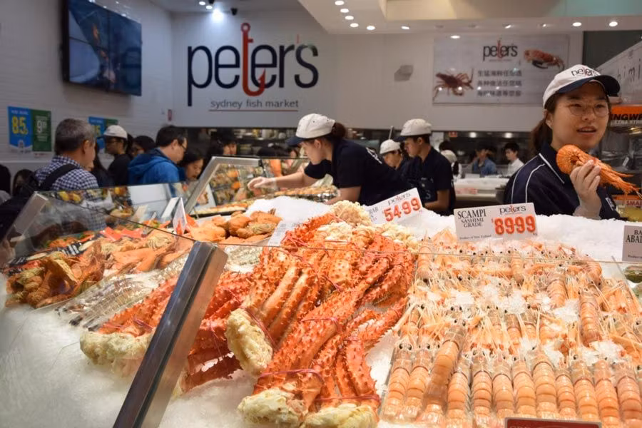 lonja sidney, viaje australia