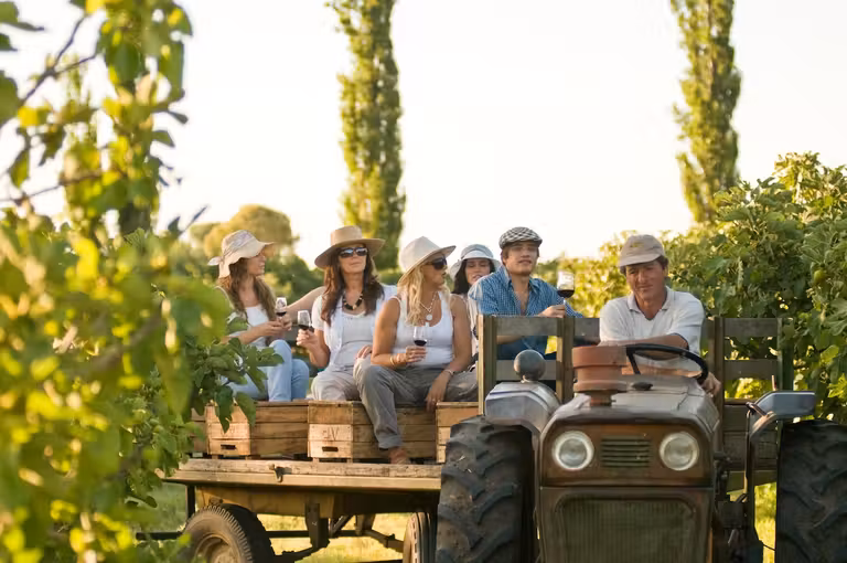 Cómo organizar un viaje a Argentina con amigas para que sea inolvidable