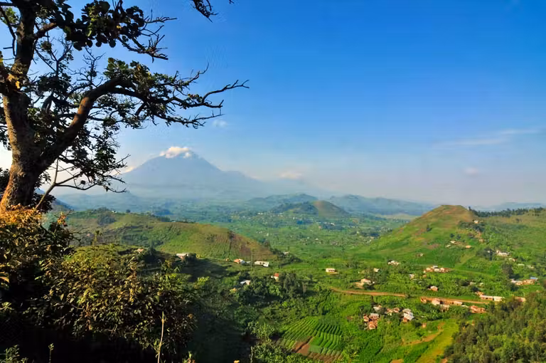 parque volcanes, gorilas uganda
