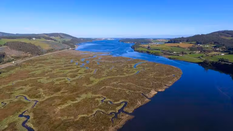 Humedal de la Ría de Ribadeo.