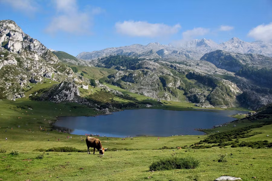 Picos de Europa, una ruta por la columna vertebral de Asturias, León y Cantabria