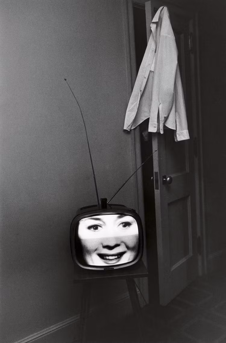Lee Friedlander en madrid