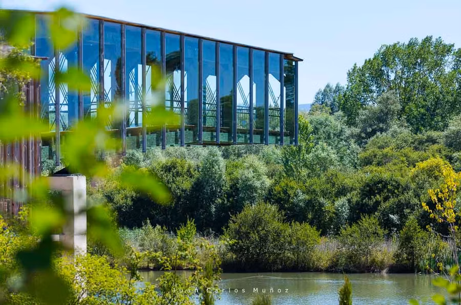 anillo verde vitoria