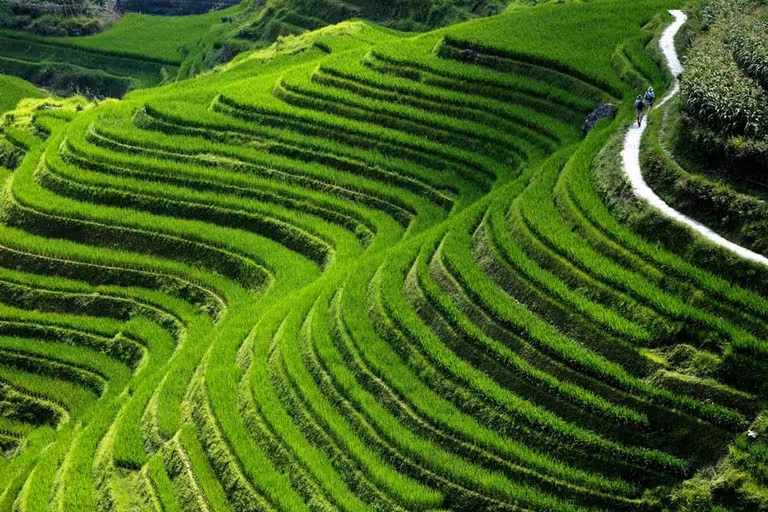 Descubre Guangxi, la otra cara de la Nueva China