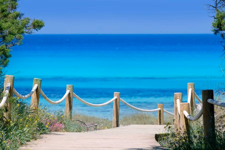 Camino de madera en Formentera