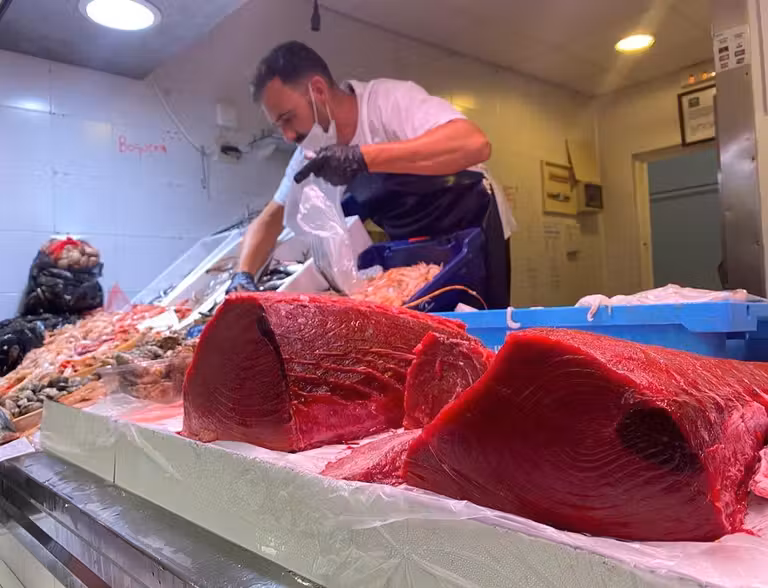 atun rojo Conil frontera