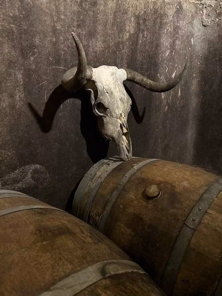 Bodegas Pastrana, en Fermoselle.