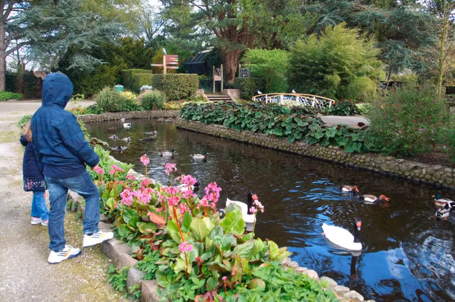 Holanda en familia, viajes con niños, escapadas por Europa