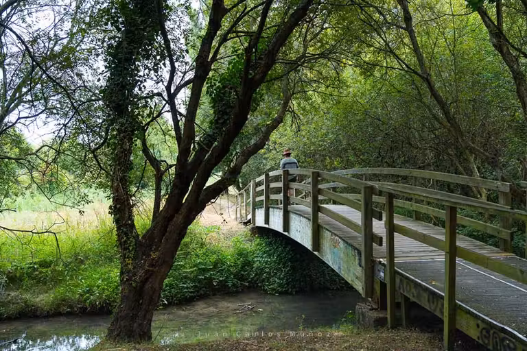 Humedal de Bolue, en Getxo