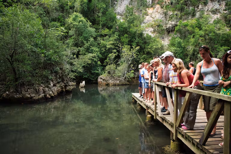 La naturaleza en Samaná se muestra exuberante.