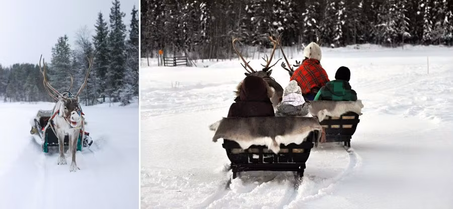 Paseo en trineo tirado por renos.