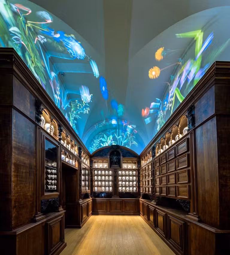 museo de la cite gastronomique de lyon