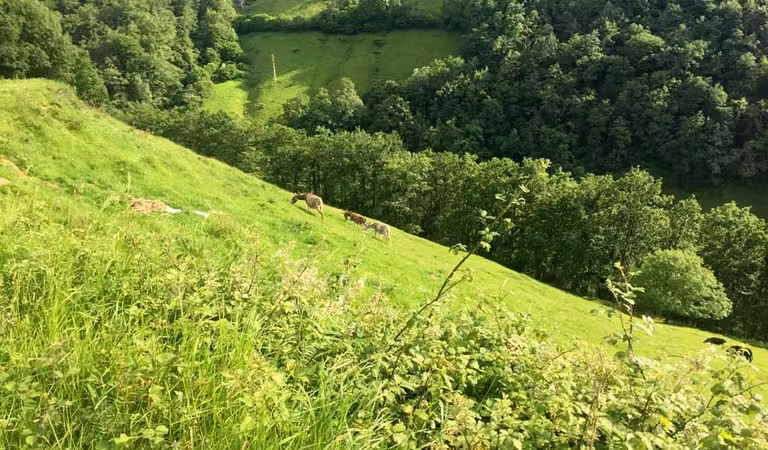 ruta tunel engana, rutas cantabria