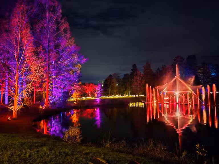 Espectáculo de agua, luz y sonido en el Christmas Garden de Berlin