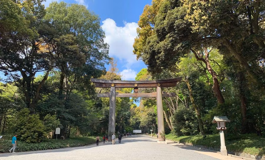 viajes a Japón, viajes en familia, viajes a grandes ciudades, cultura japonesa