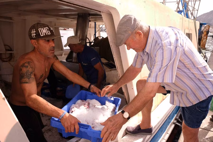 Los pescadores descargan la pesca del día en el puerto de Almería.