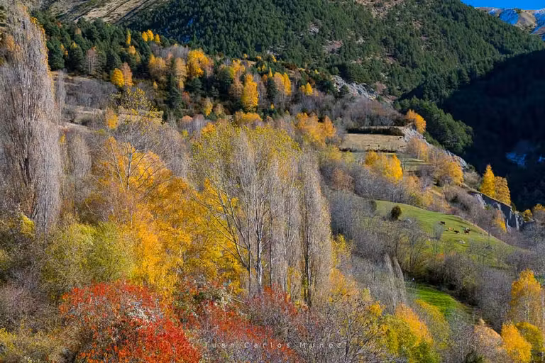 Paisaje ganadero en San Juan de Plan.