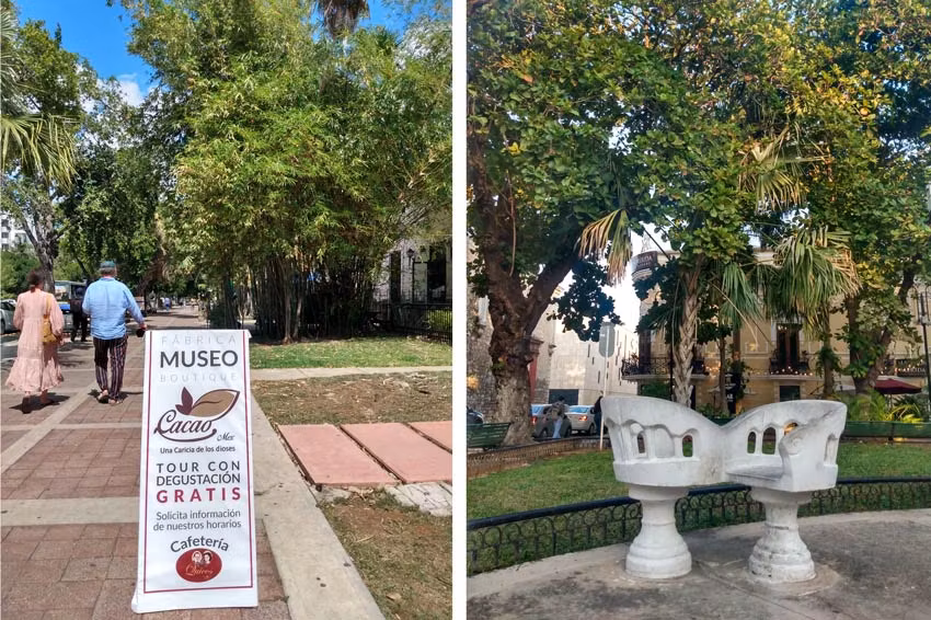 Museo del Cacao y Bancos de Mérida, yucatán