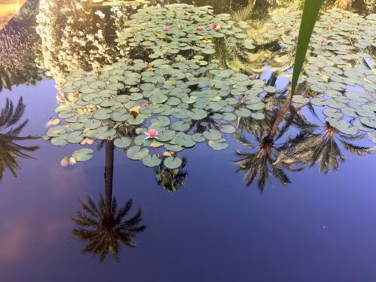 Fuente de los Jardines Majorelle.
