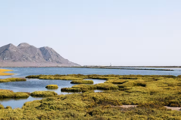 excursion flamencos en cabo de gata