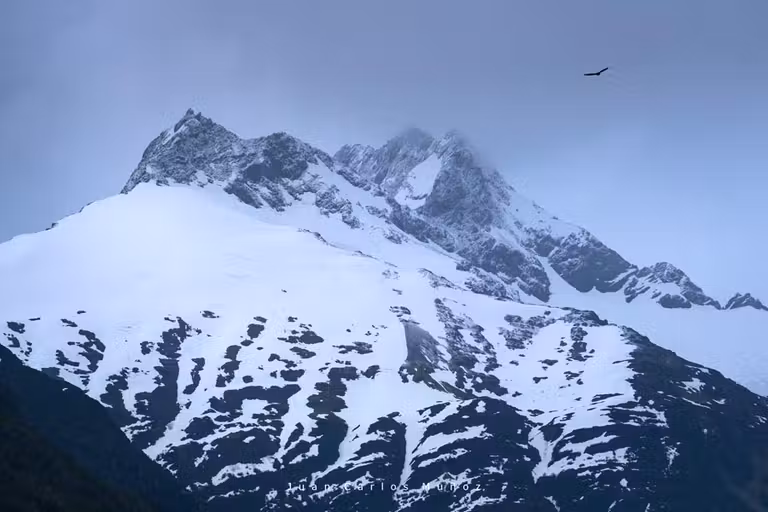 viaje patagonia chilena, viaje mujeres, avenida de los glaciares, cruceros argentina, crucero chile