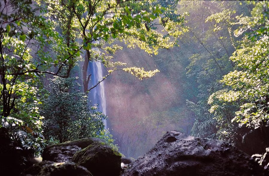 Costa Rica: de ‘la aventura quetzal’ a la nouvelle cuisine