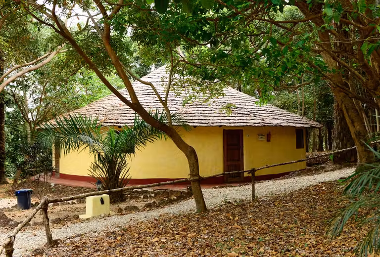 instalaciones hotel orango parque