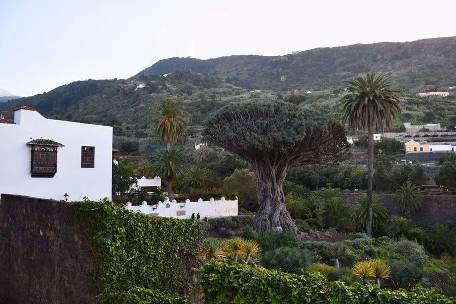 viajes a Canarias, viajes familiares a Tenerife, rutas desde el sur de Tenerife