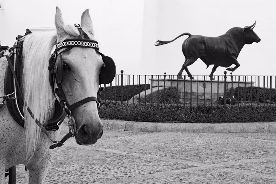 Caballo y estatua de toro en Ronda