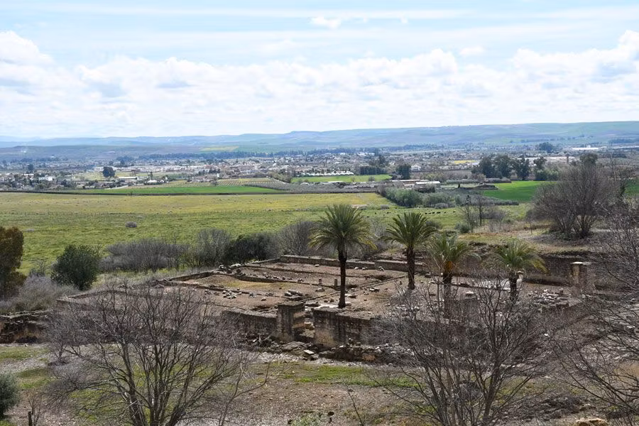 Planta de la mezquita de Medina Azahara.