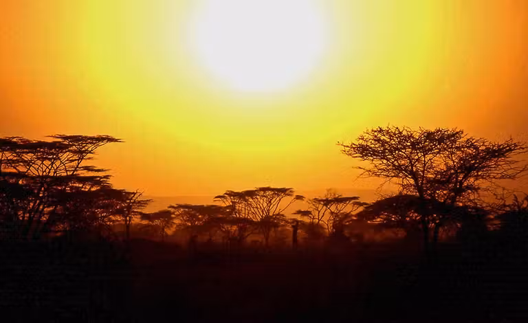 atardecer en kenia memorias de africa